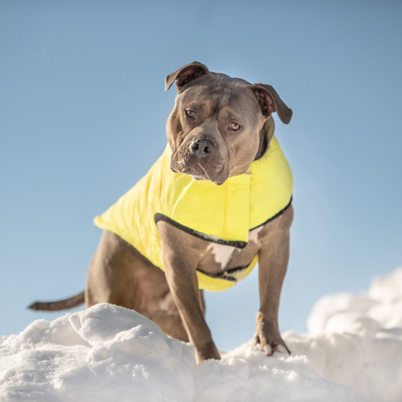 Load image into Gallery viewer, Reversible Chalet Jacket - Sand/Yellow
