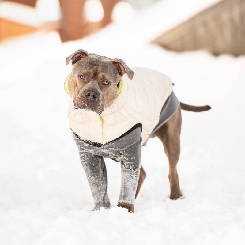 Load image into Gallery viewer, Reversible Chalet Jacket - Sand/Yellow
