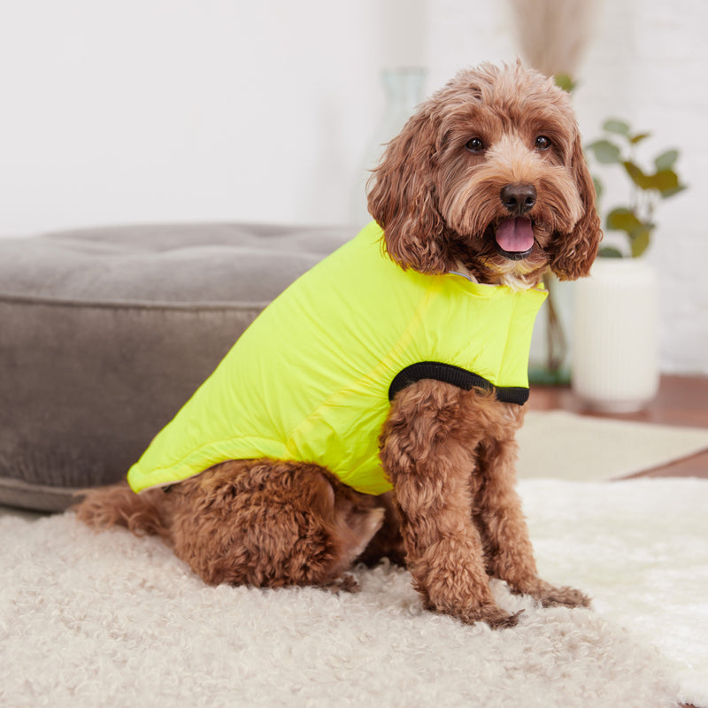 Load image into Gallery viewer, Reversible Chalet Jacket - Sand/Yellow
