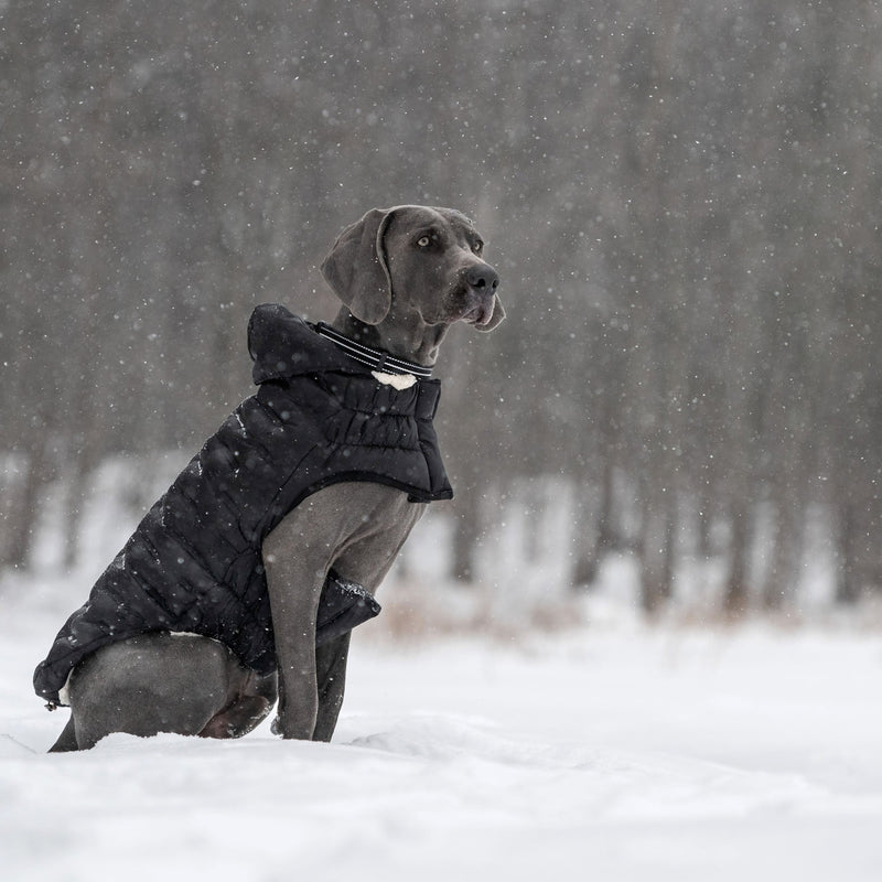Load image into Gallery viewer, Cloud Parka
