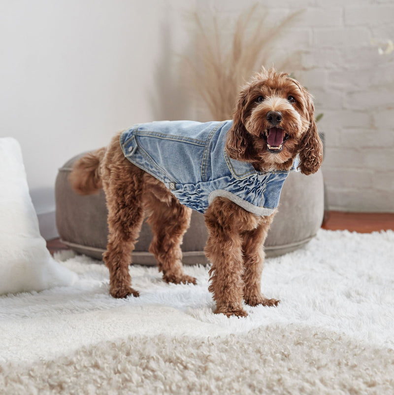 Load image into Gallery viewer, Denim Jacket All Season - Light Wash

