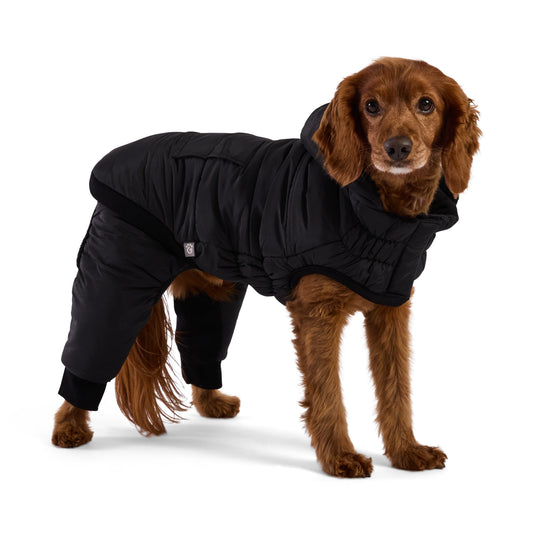 Odyssey Snowsuit