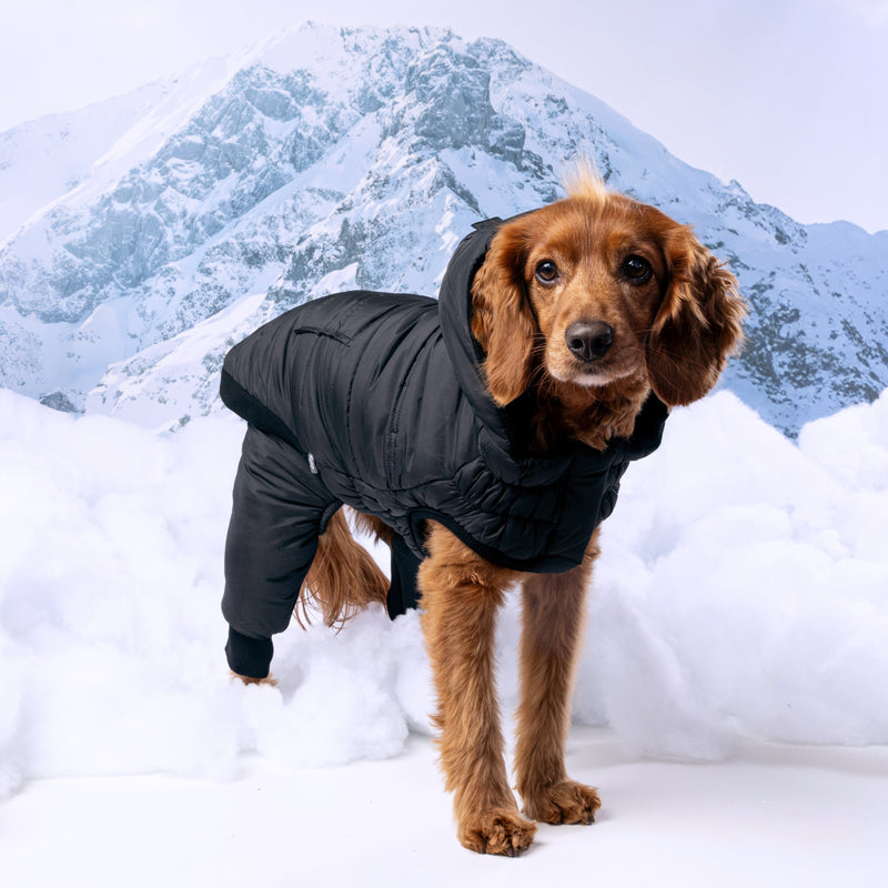 Load image into Gallery viewer, Odyssey Snowsuit
