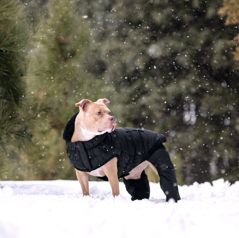 Load image into Gallery viewer, Odyssey Snowsuit
