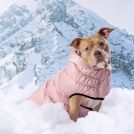 Lunar Glow Parka