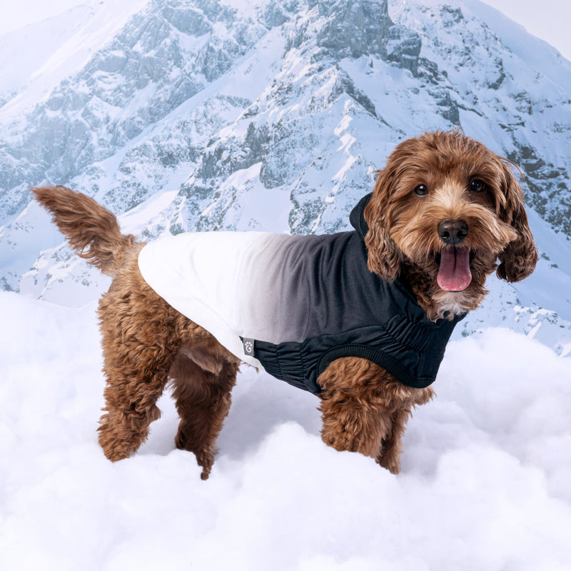 Load image into Gallery viewer, Good Vibes Hoodie
