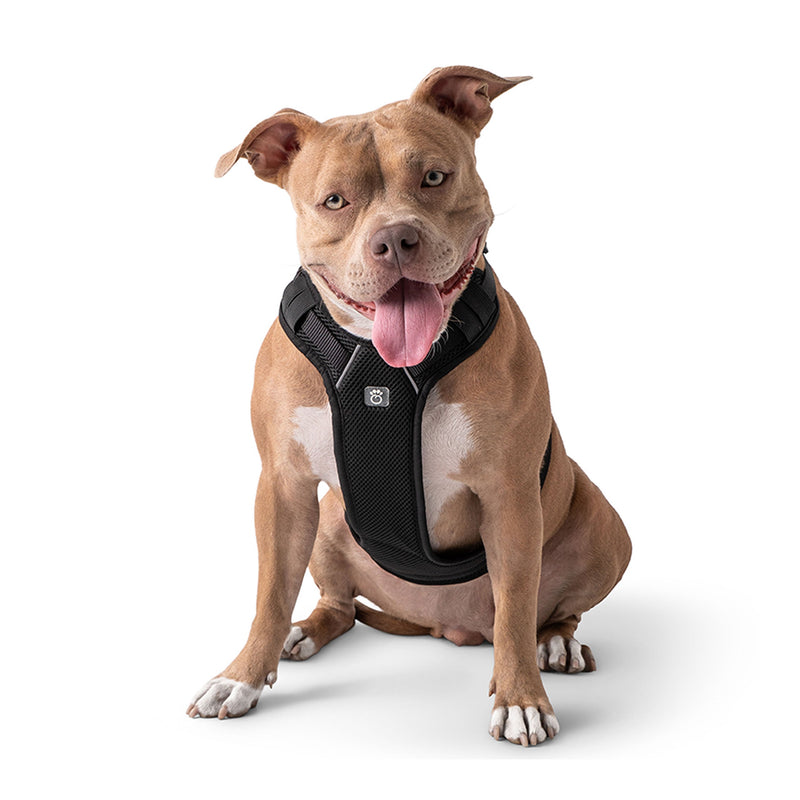 Load image into Gallery viewer, Travel Harness - Black
