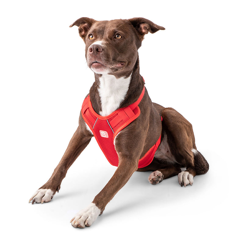 Load image into Gallery viewer, Travel Harness - Red
