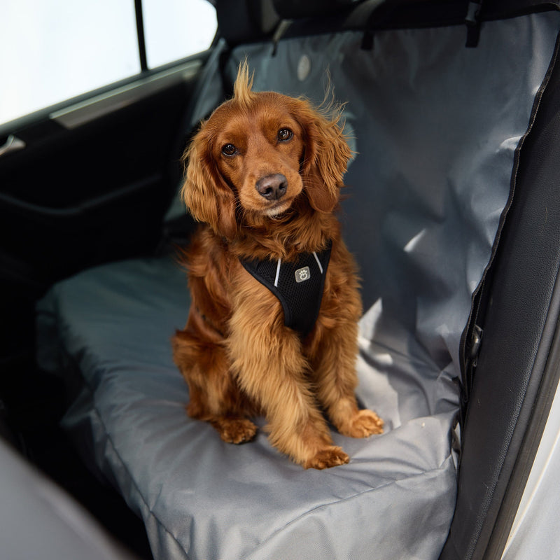 Load image into Gallery viewer, Travel Harness - Black
