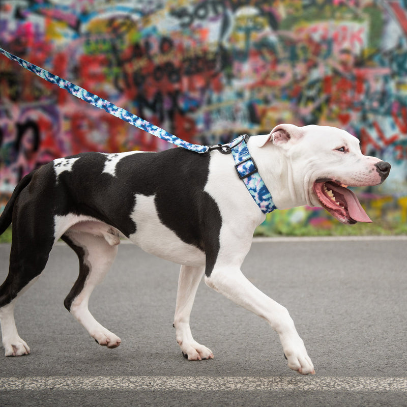 Load image into Gallery viewer, Printed Leash - Tie Dye
