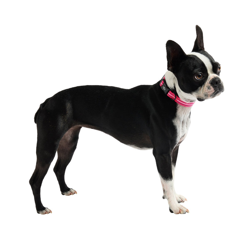 Load image into Gallery viewer, Reflective Collar - Neon Pink

