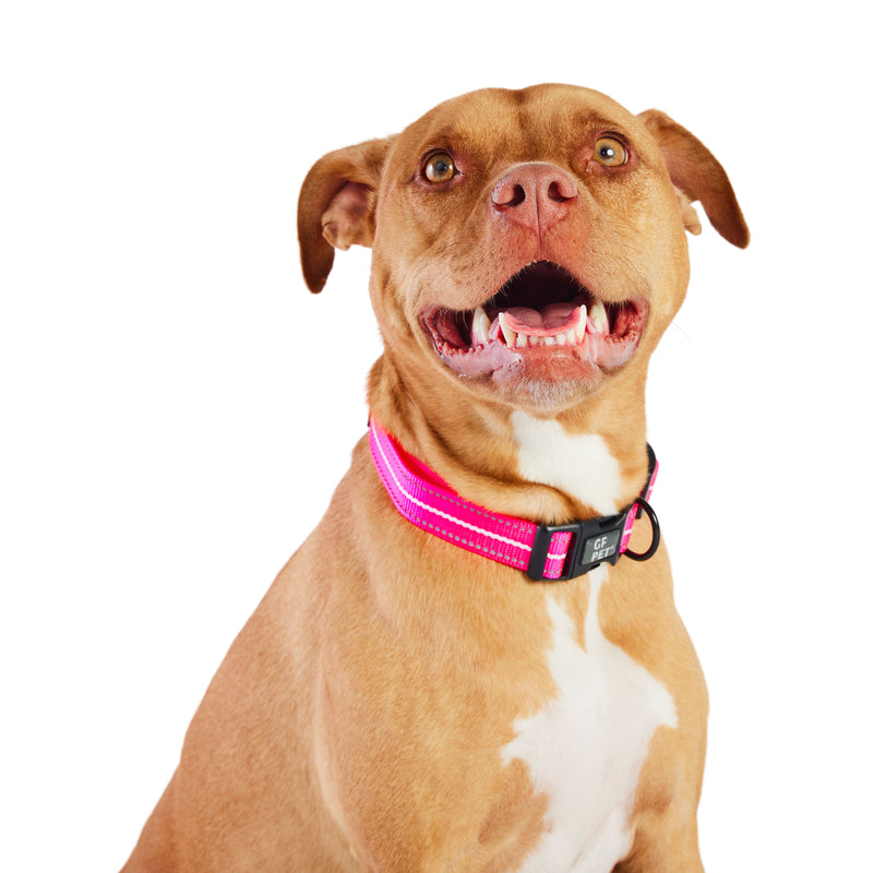 Load image into Gallery viewer, Reflective Collar - Neon Pink
