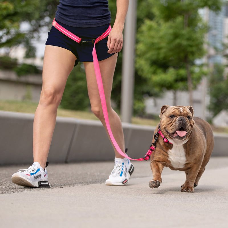 Load image into Gallery viewer, Reflective Leash - EEZY-6 - Neon Pink
