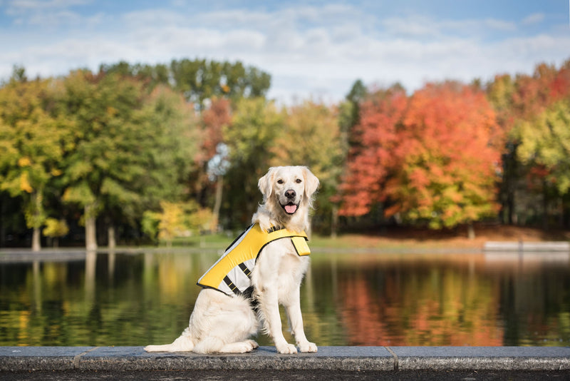 Load image into Gallery viewer, Life Vest - Dog Life Jacket
