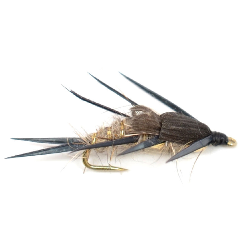 Load image into Gallery viewer, Basics Collection - Double Bead  Nymph Assortment - 10 Flies - Size 10
