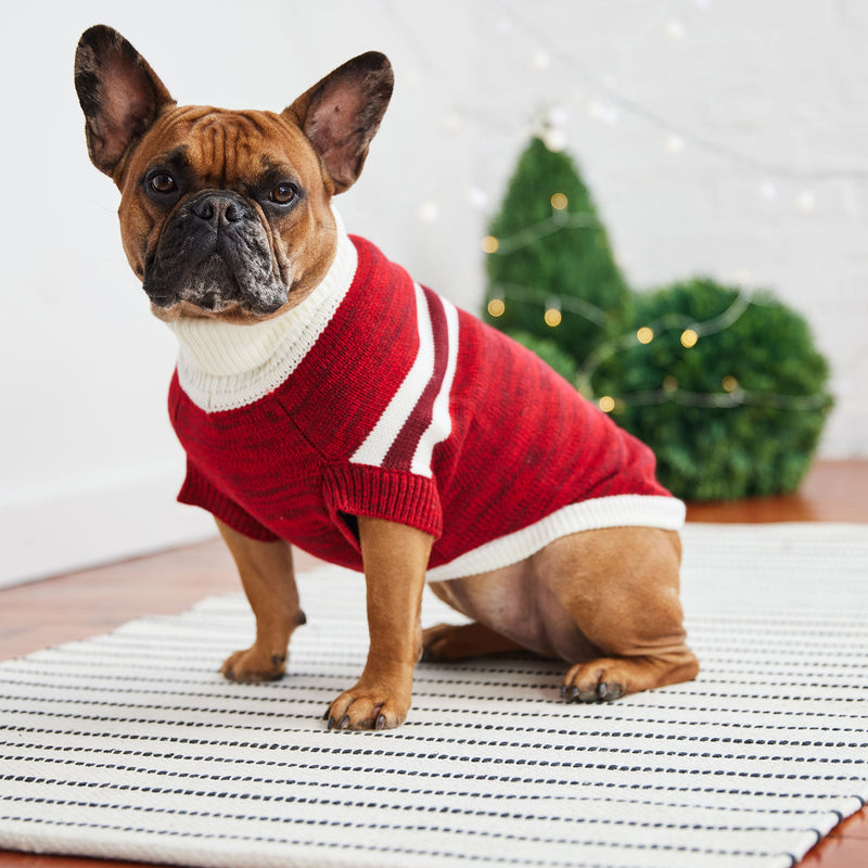 Load image into Gallery viewer, Trekking Sweater - Red
