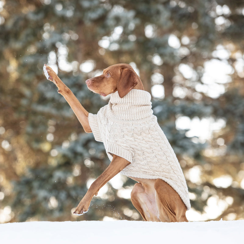 Load image into Gallery viewer, Chalet Sweater - Oatmeal
