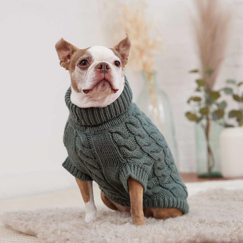 Load image into Gallery viewer, Chalet Sweater - Sage
