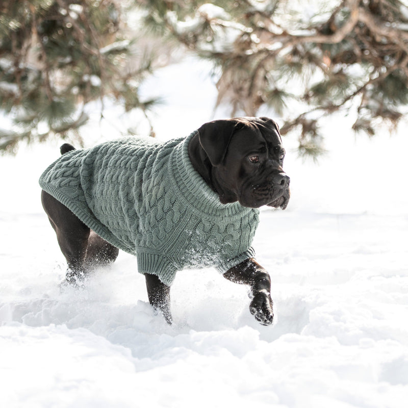 Load image into Gallery viewer, Chalet Sweater - Sage
