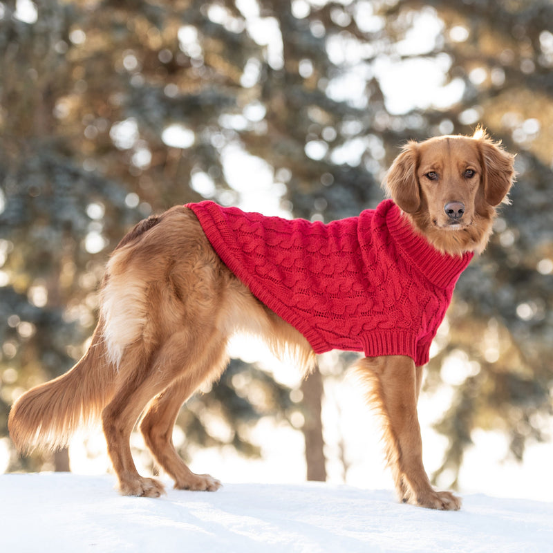 Load image into Gallery viewer, Chalet Sweater - Red
