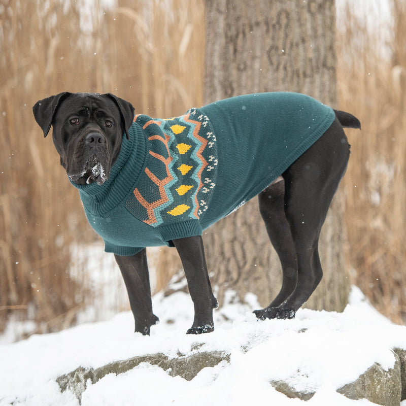 Load image into Gallery viewer, Heritage Sweater - Teal
