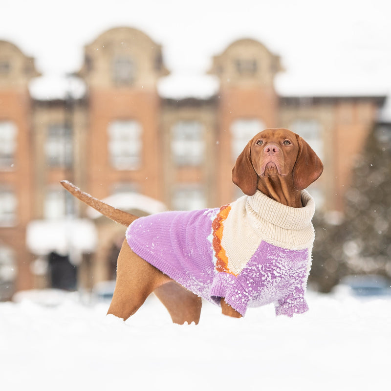 Load image into Gallery viewer, Fireside Sweater - Purple
