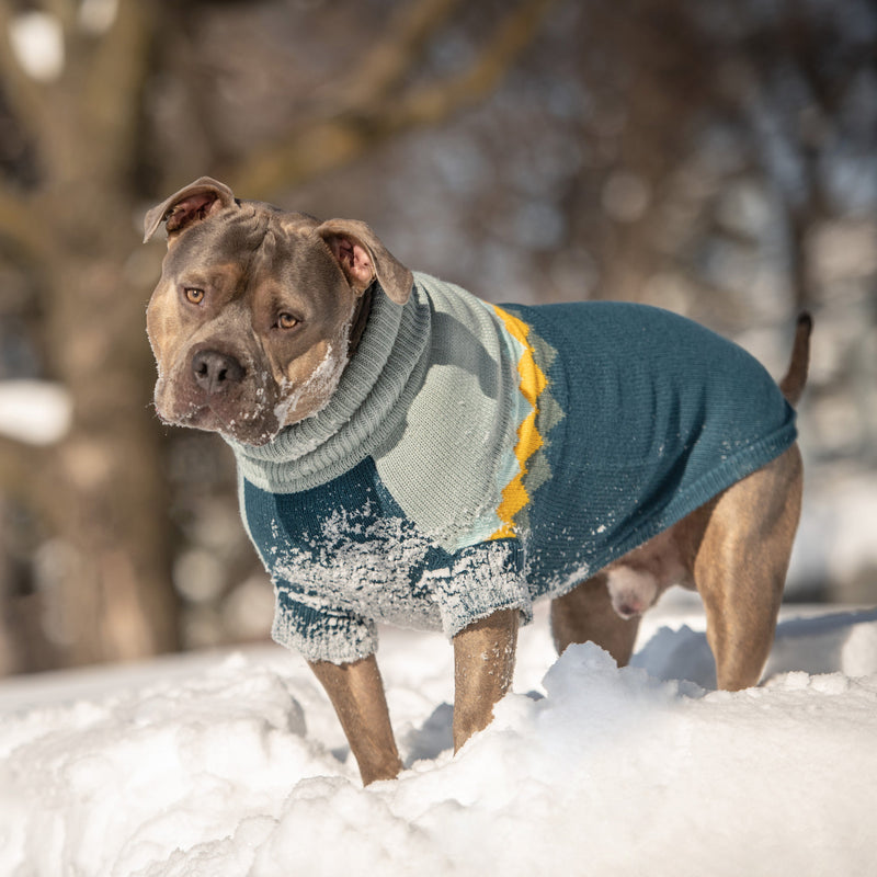 Load image into Gallery viewer, Fireside Sweater - Teal
