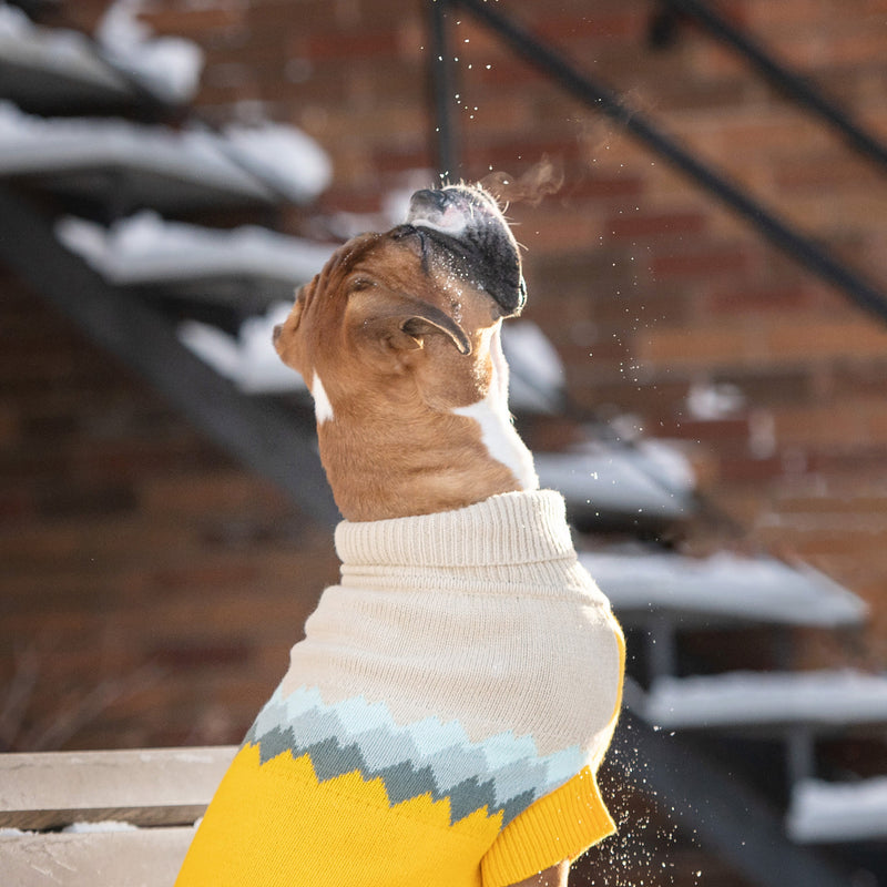Load image into Gallery viewer, Fireside Sweater - Yellow
