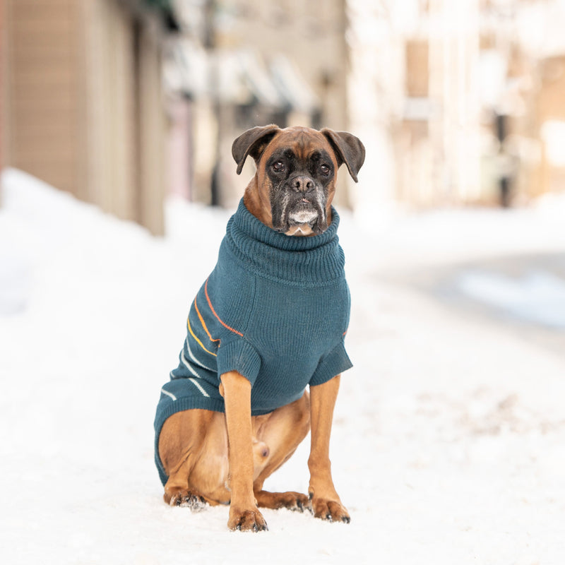 Load image into Gallery viewer, Arctic Sweater - Teal
