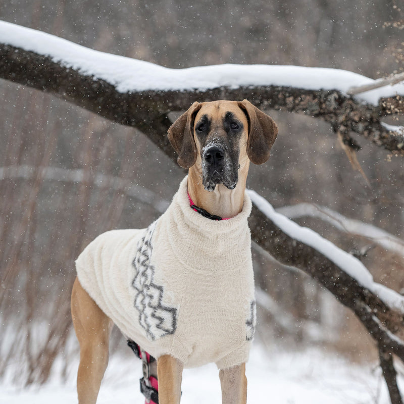 Load image into Gallery viewer, Fuzzy Sweater
