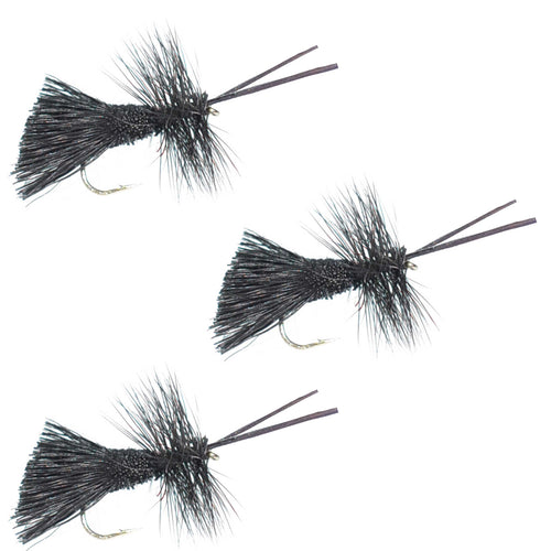 3 Pack Goddard Caddis Black Dry Fly - Hook Size 12