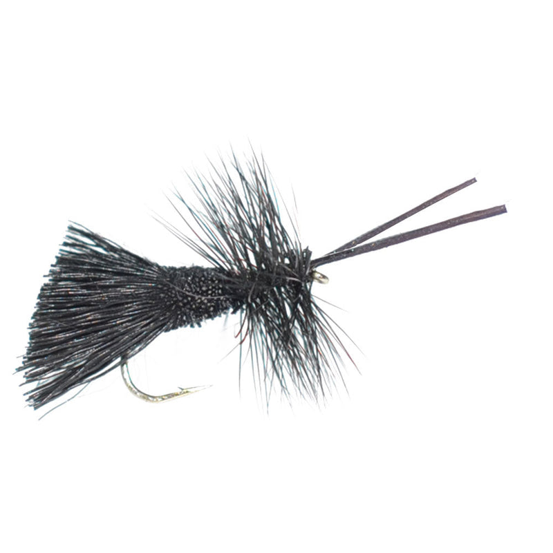 Load image into Gallery viewer, Goddard Caddis Black Dry Fly - 6 Flies Hook Size 12

