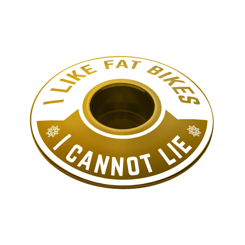 Load image into Gallery viewer, I Like Fat Bikes &amp; I Cannot Lie Bicycle Headset Cap
