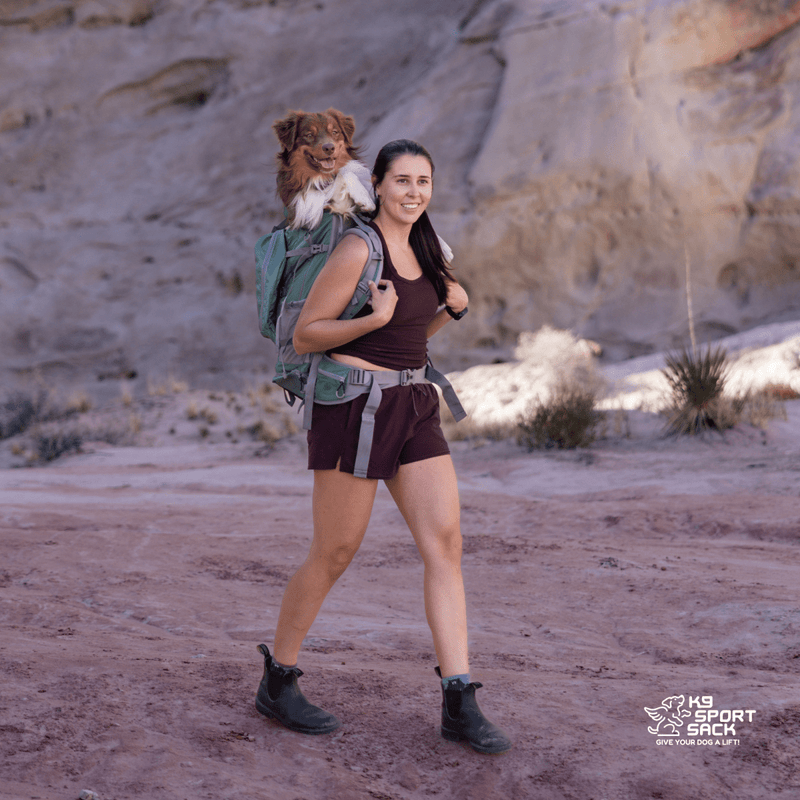 Load image into Gallery viewer, Kolossus | Big Dog Carrier &amp; Backpacking Pack
