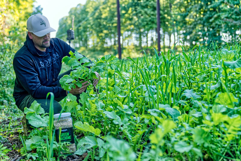 Load image into Gallery viewer, Green Machine™ Food Plot Seed
