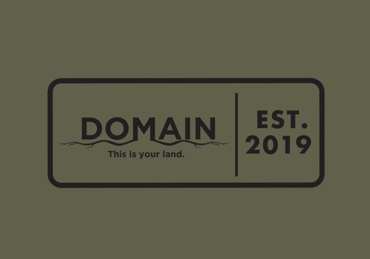 Load image into Gallery viewer, Domain Military Green T Shirt
