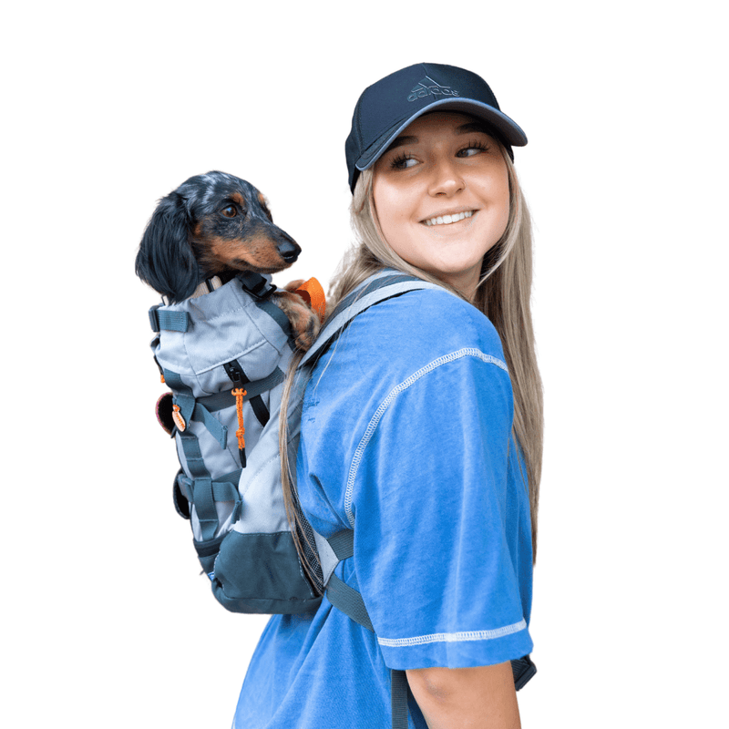 Load image into Gallery viewer, Urban 3 | Dual Use Dog Carrier &amp; Traditional Backpack
