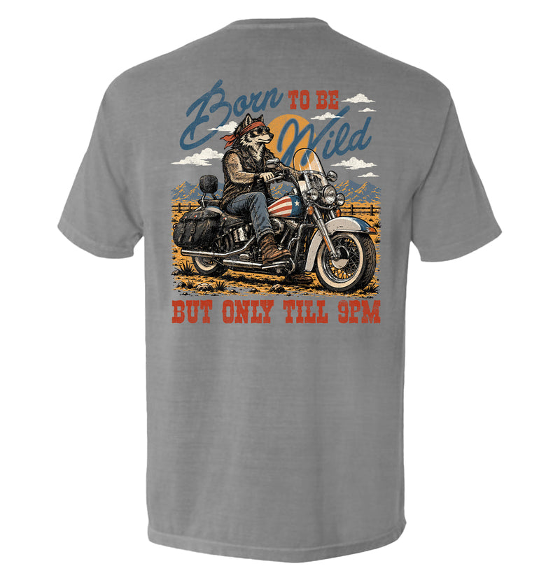 Load image into Gallery viewer, Born to be Wild
