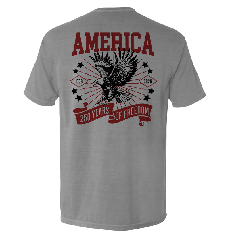 Load image into Gallery viewer, America 250 Years of Freedom
