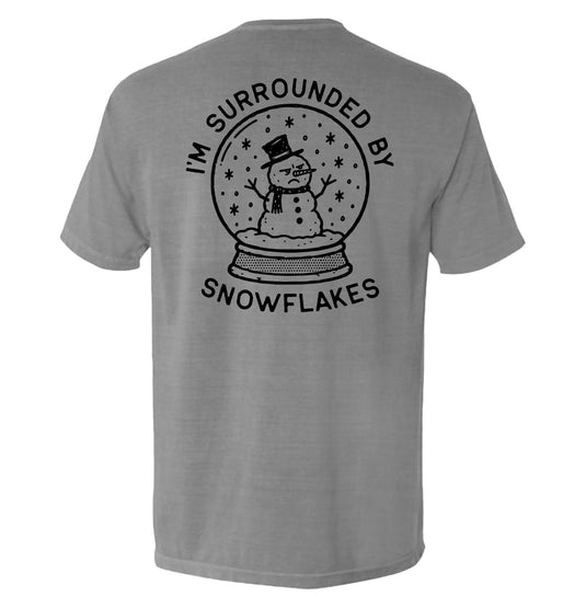 I'm Surrounded by Snowflakes Snowglobe