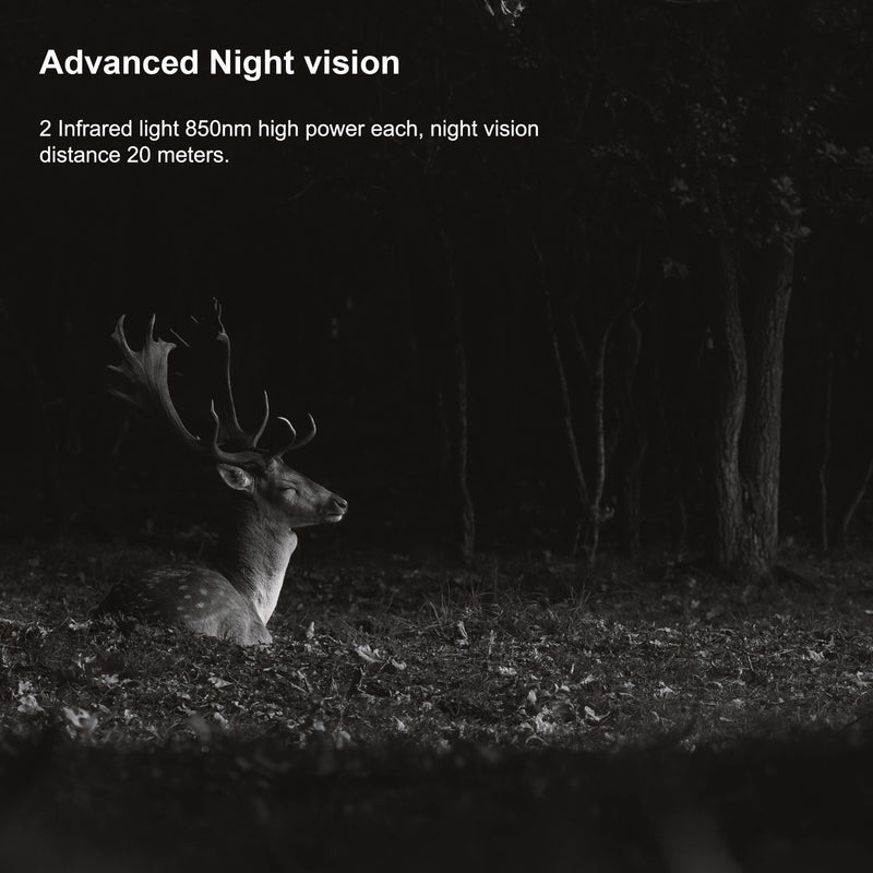 Load image into Gallery viewer, Rexing Woodlens H2 4K Wi-Fi Trail Camera (1 Pack)
