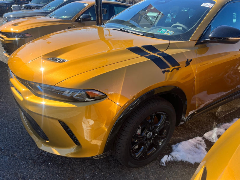 Load image into Gallery viewer, Fender Slash Decals for 2023-2024 Dodge Hornet (x2)
