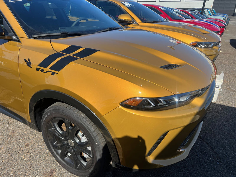 Load image into Gallery viewer, Fender Slash Decals for 2023-2024 Dodge Hornet (x2)
