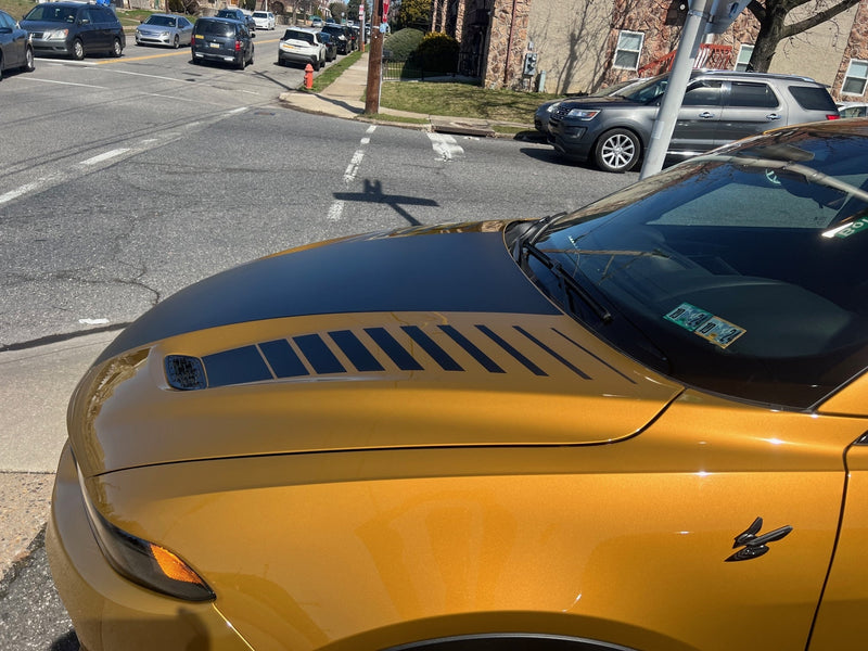 Load image into Gallery viewer, Hood Strobe Stripes And Center Decal Cover for 2023-2024 Dodge Hornet
