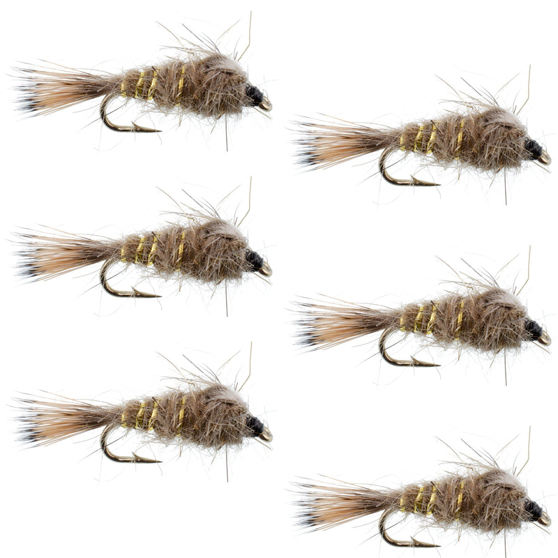 Load image into Gallery viewer, Classic Weighted Gold Ribbed Hares Ear Nymph - Set of 6 Flies - Size 18
