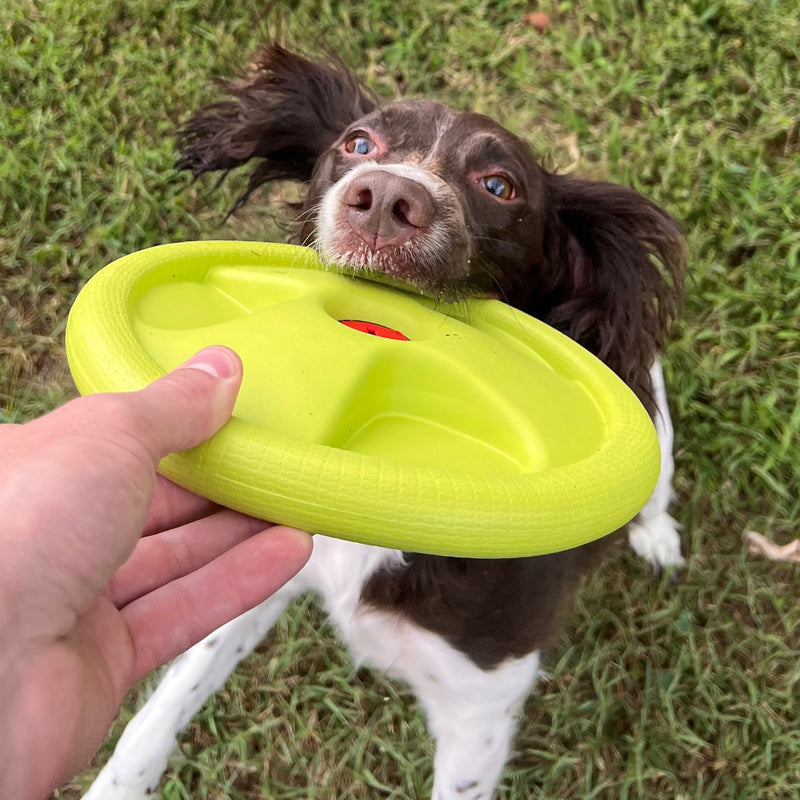 Load image into Gallery viewer, Harley Flyer Frisbee
