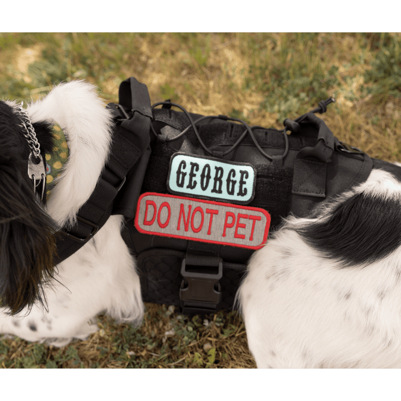 Load image into Gallery viewer, Custom K9 Mini Patch
