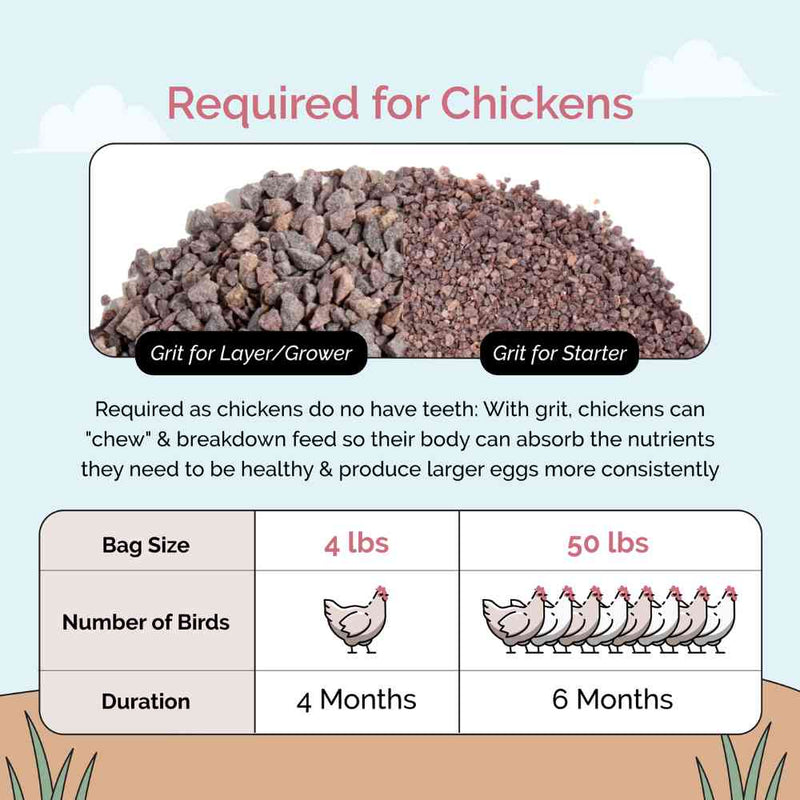 Load image into Gallery viewer, Chicken Grit
