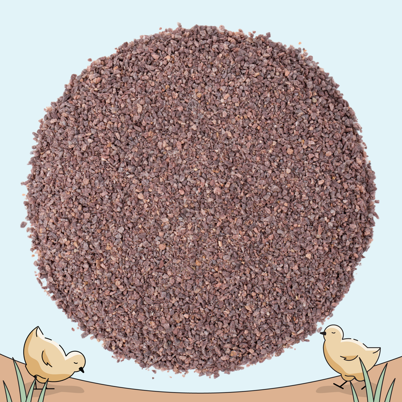 Load image into Gallery viewer, Starter Feed Kit | 8 Weeks of Organic Feed &amp; Grit for 10 Chicks
