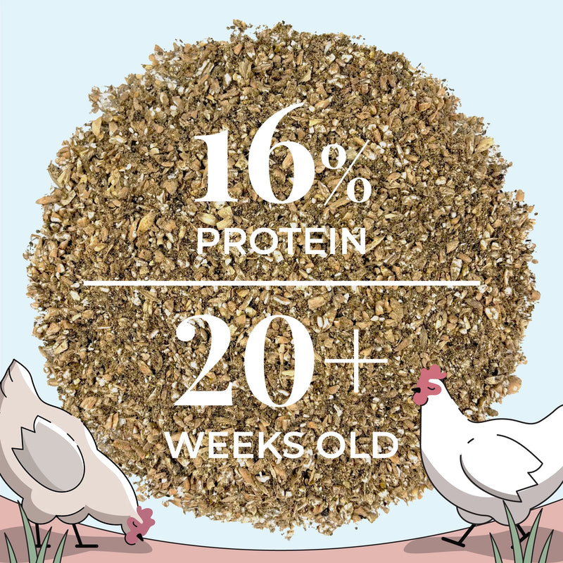 Load image into Gallery viewer, Layer Feed Kit | 1 Month of Organic Feed, Grit &amp; Oyster Shell for 10 Layers
